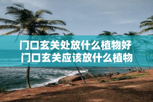 门口玄关处放什么植物好 门口玄关应该放什么植物