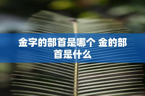 金字的部首是哪个 金的部首是什么
