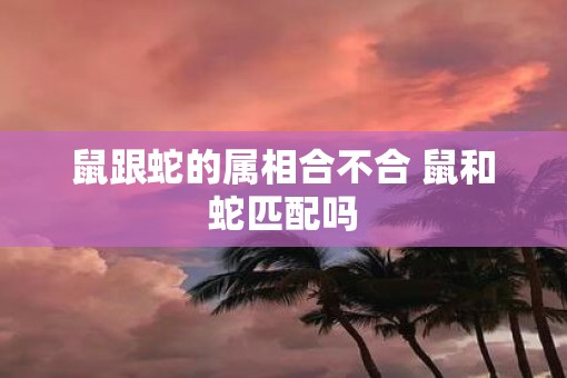 鼠跟蛇的属相合不合 鼠和蛇匹配吗