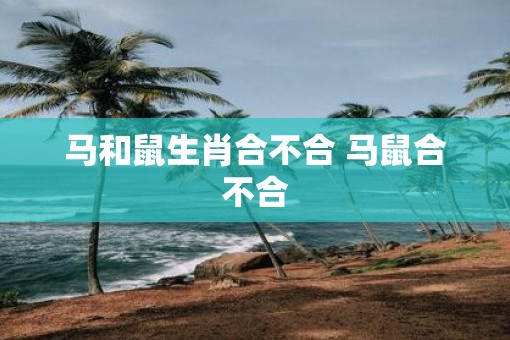 马和鼠生肖合不合 马鼠合不合