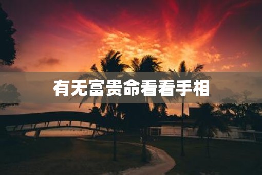 有无富贵命看看手相