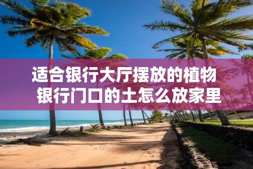 适合银行大厅摆放的植物  银行门口的土怎么放家里旺财