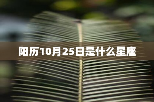 阳历10月25日是什么星座