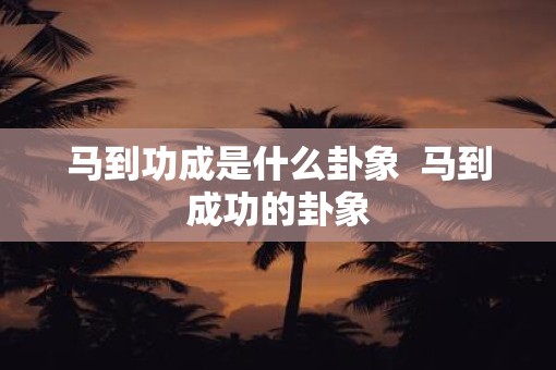 马到功成是什么卦象  马到成功的卦象