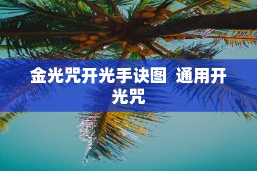 金光咒开光手诀图  通用开光咒
