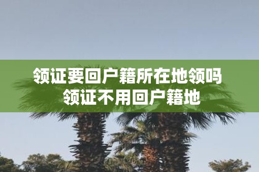 领证要回户籍所在地领吗  领证不用回户籍地