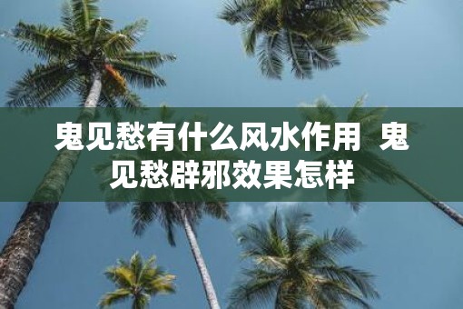 鬼见愁有什么风水作用 鬼见愁辟邪效果怎样 鬼见愁有什么风水作用 鬼见愁辟邪效果怎样
