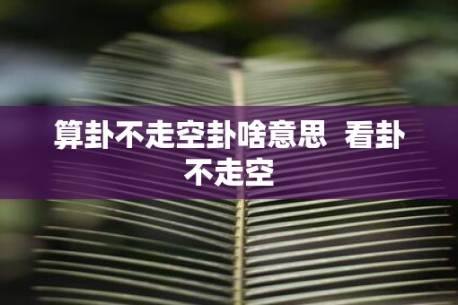 算卦不走空卦啥意思  看卦不走空