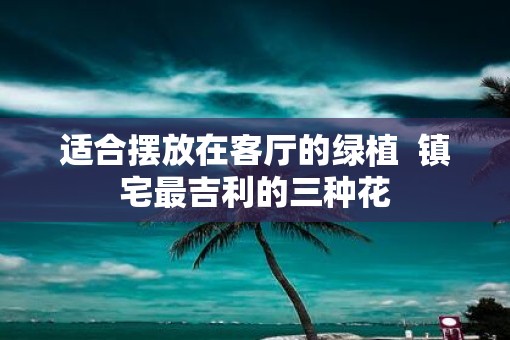 适合摆放在客厅的绿植  镇宅最吉利的三种花