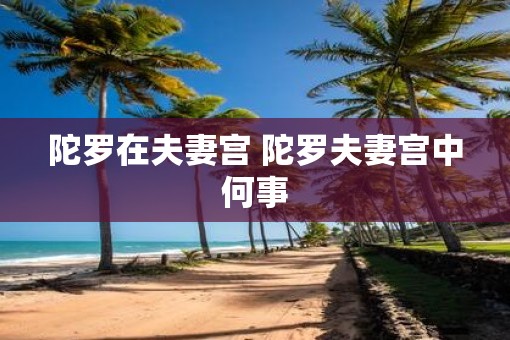 陀罗在夫妻宫 陀罗夫妻宫中何事 陀罗在夫妻宫 陀罗夫妻宫中何事