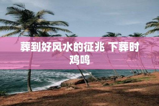 葬到好风水的征兆 下葬时鸡鸣