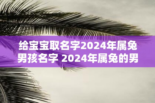 给宝宝取名字2025年属兔男孩名字 2025年属兔的男孩起什么名字好
