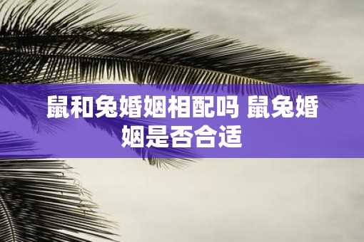鼠和兔婚姻相配吗 鼠兔婚姻是否合适