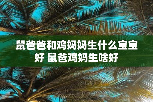 鼠爸爸和鸡妈妈生什么宝宝好 鼠爸鸡妈生啥好