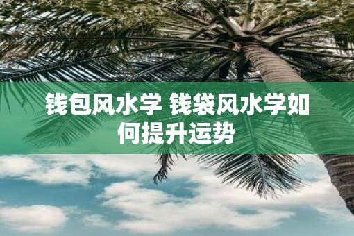 钱包风水学 钱袋风水学如何提升运势