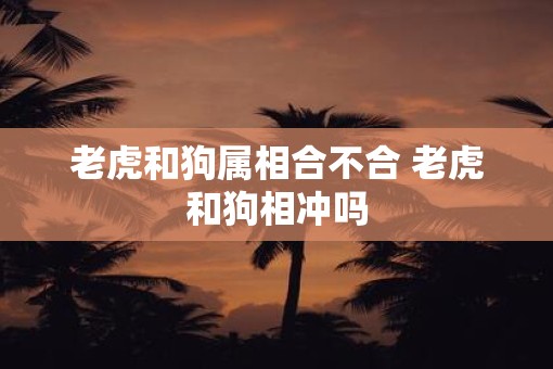 老虎和狗属相合不合 老虎和狗相冲吗