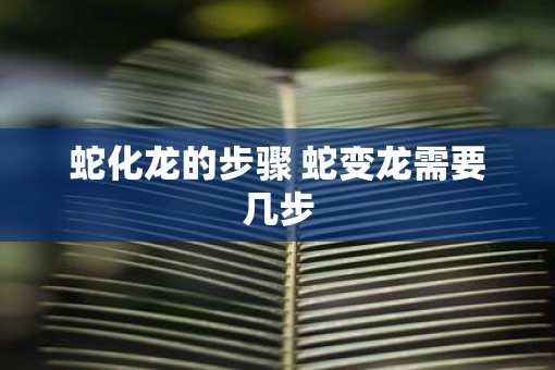 蛇化龙的步骤 蛇变龙需要几步