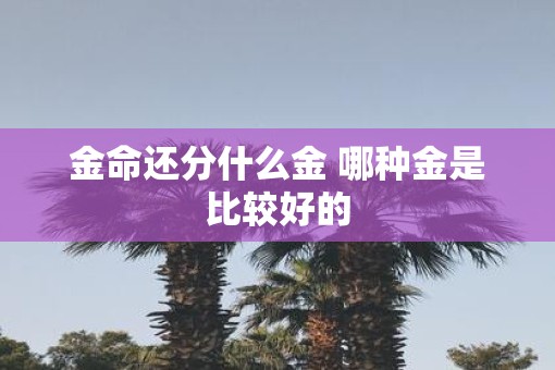 金命还分什么金 哪种金是比较好的