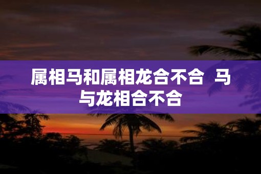 属相马和属相龙合不合  马与龙相合不合