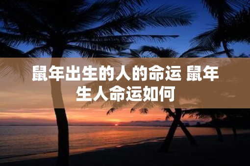 鼠年出生的人的命运 鼠年生人命运如何