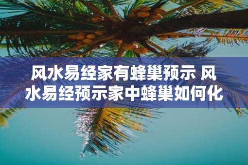 风水易经家有蜂巢预示 风水易经预示家中蜂巢如何化解