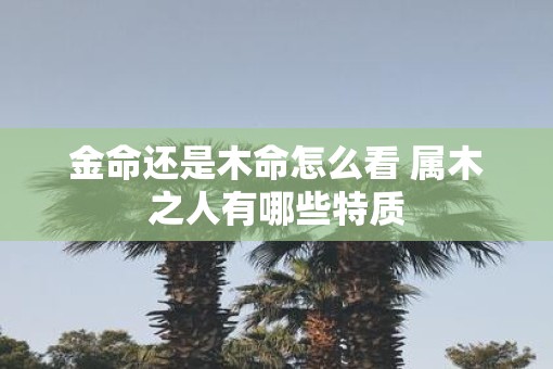 金命还是木命怎么看 属木之人有哪些特质