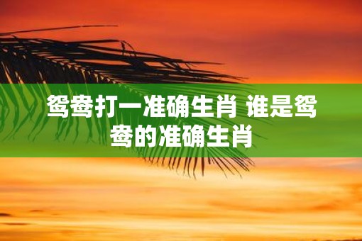 鸳鸯打一准确生肖 谁是鸳鸯的准确生肖