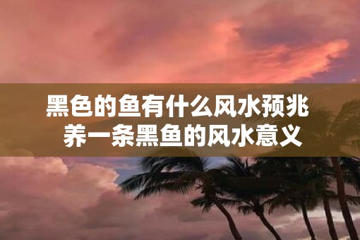 黑色的鱼有什么风水预兆  养一条黑鱼的风水意义