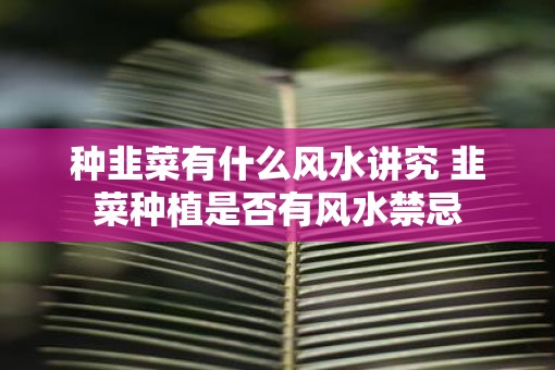 种韭菜有什么风水讲究 韭菜种植是否有风水禁忌