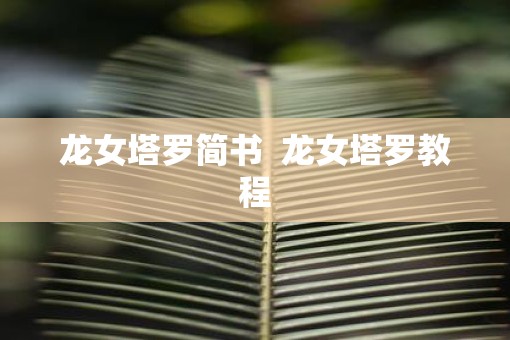龙女塔罗简书  龙女塔罗教程