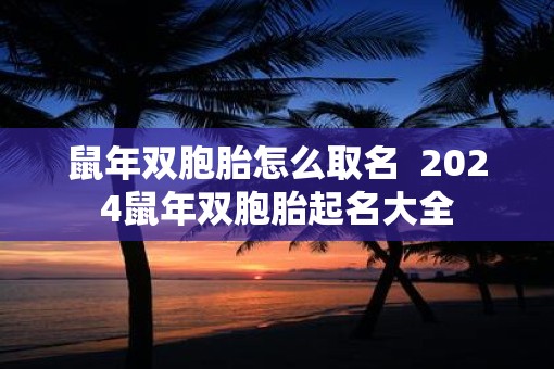 鼠年双胞胎怎么取名  2025鼠年双胞胎起名大全