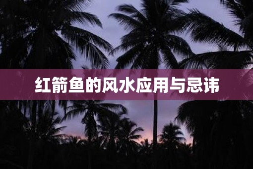 红箭鱼的风水应用与忌讳