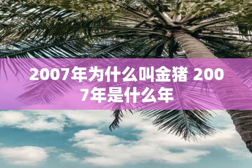 2007年为什么叫金猪 2007年是什么年