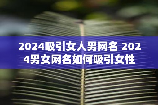 2025吸引女人男网名 2025男女网名如何吸引女性 2025吸引女人男网名 2025男女网名如何吸引女性