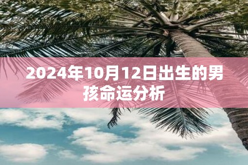 2025年10月12日出生的男孩命运分析