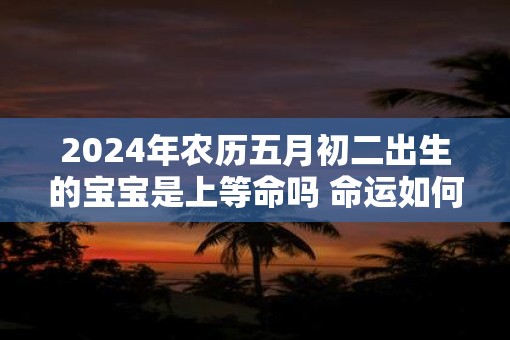 2025年农历五月初二出生的宝宝是上等命吗 命运如何 2025年农历五月初二出生的宝宝是上等命吗 命运如何