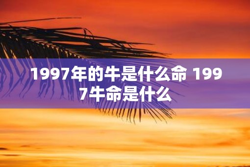 1997年的牛是什么命 1997牛命是什么