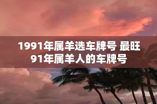 1991年属羊选车牌号 最旺91年属羊人的车牌号
