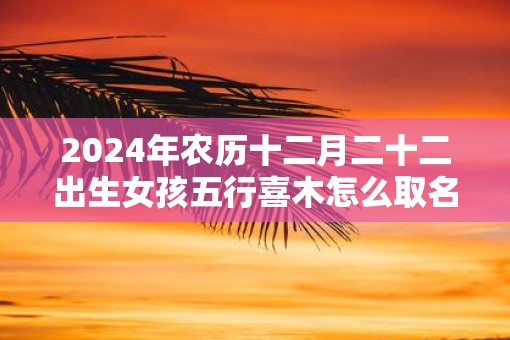 2025年农历十二月二十二出生女孩五行喜木怎么取名字