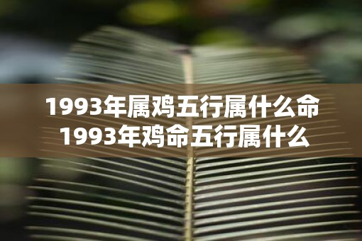 1993年属鸡五行属什么命 1993年鸡命五行属什么