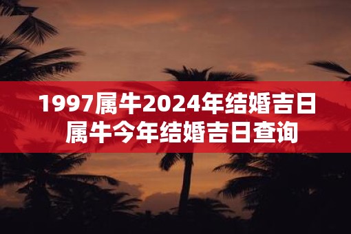 1997属牛2025年结婚吉日  属牛今年结婚吉日查询