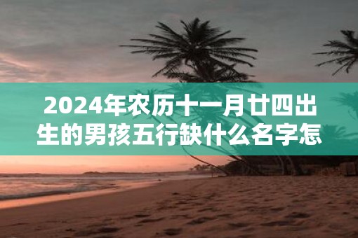2025年农历十一月廿四出生的男孩五行缺什么名字怎么取合适