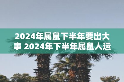 2025年属鼠下半年要出大事 2025年下半年属鼠人运势