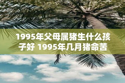 1995年父母属猪生什么孩子好 1995年几月猪命苦