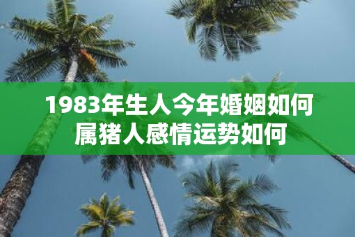 1983年生人今年婚姻如何 属猪人感情运势如何