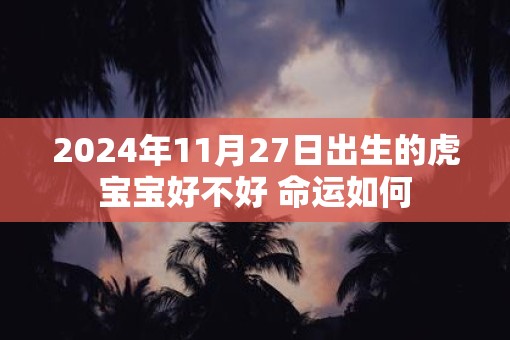 2025年11月27日出生的虎宝宝好不好 命运如何