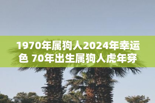1970年属狗人2025年幸运色 70年出生属狗人虎年穿什么颜色衣服好