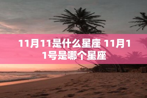 11月11是什么星座 11月11号是哪个星座