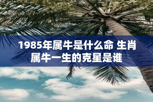 1985年属牛是什么命 生肖属牛一生的克星是谁