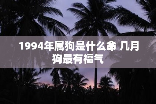 1994年属狗是什么命 几月狗最有福气